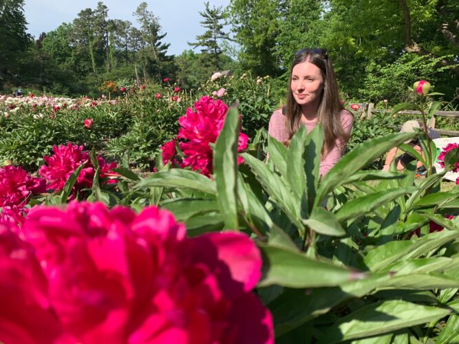 Tens of thousands are making annual peony pilgrimage to University of Michigan's garden